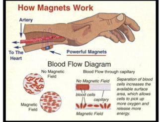 Magnetic Field On Blood Flow