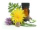 Holistic Homeopathy