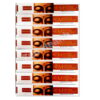 8 x Nandita Mantra Meditation Incense Stick Packs