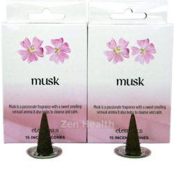 Elements Musk Incense Cones - 30 Cones and Holder